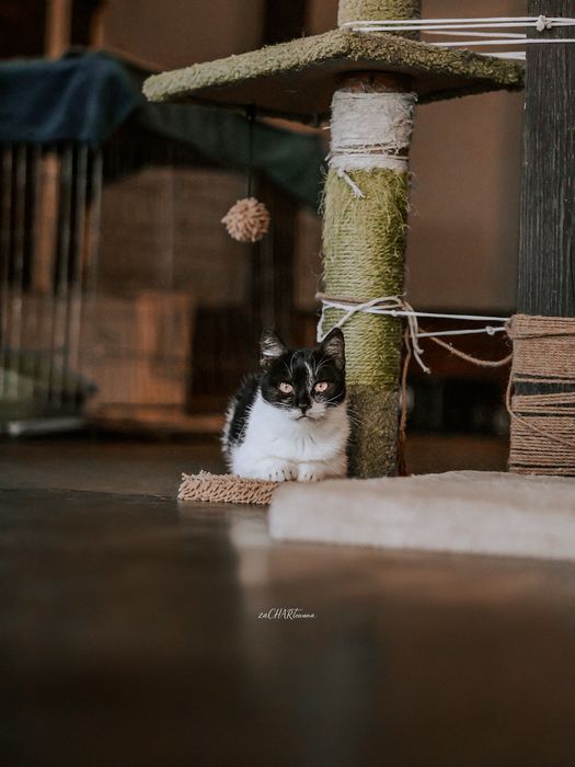 Malutka Müesli do kochania