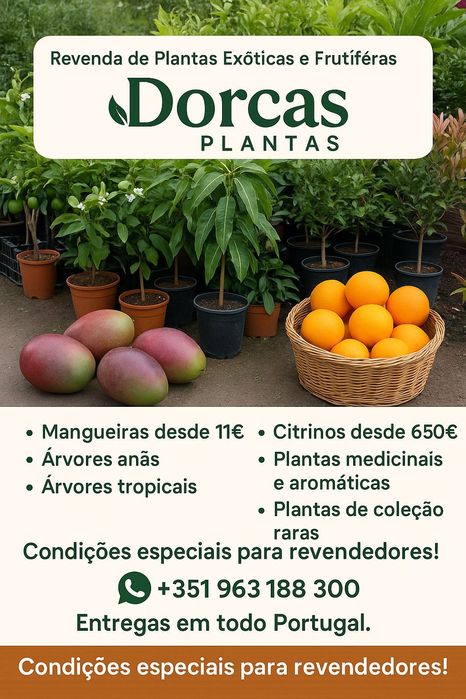 Plantas e árvore Frutiferas