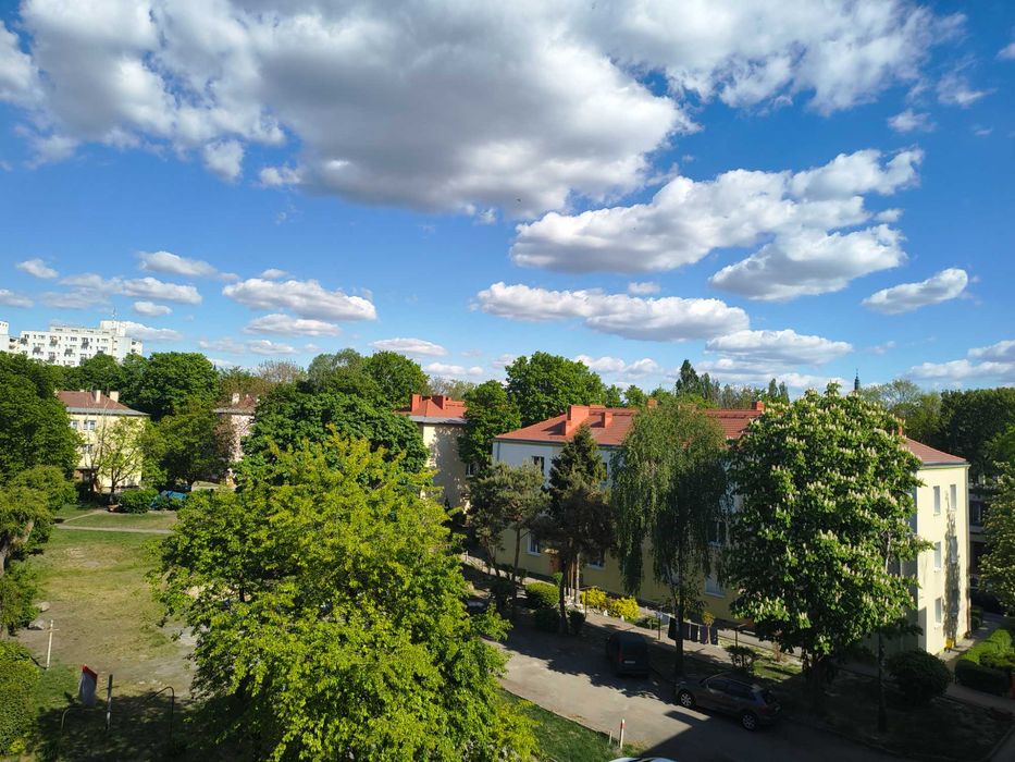 Zdjęcie 8