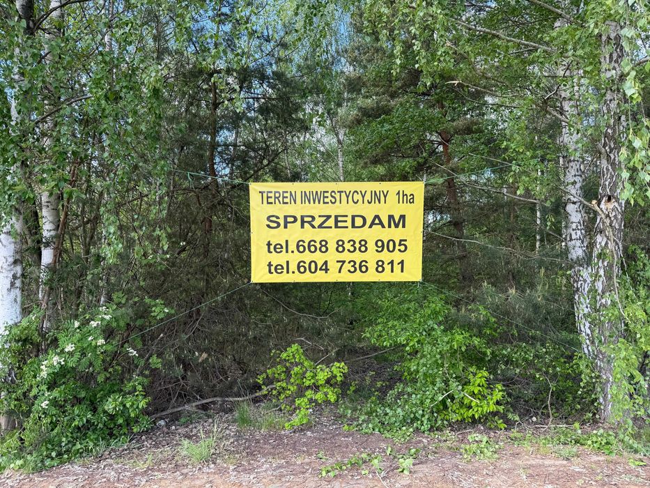 Działka inwestycyjna w centrum Szydłowca