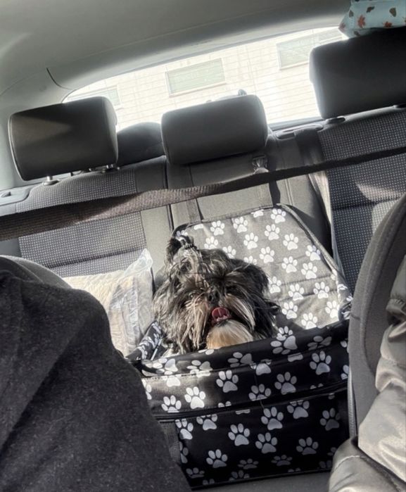 Transporter dla Psa do samochodu Pojemny Bezpieczenstwo
