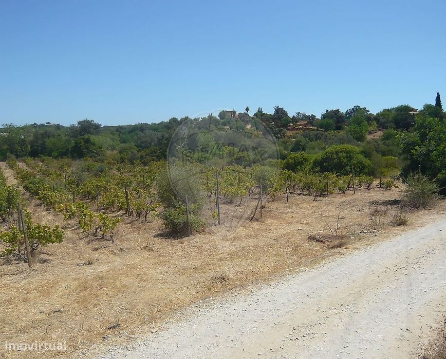Terreno  para venda — Pechão, Faro