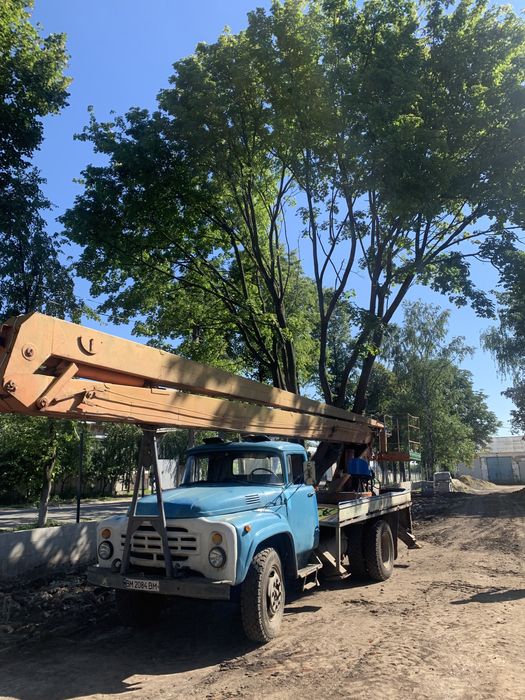 Спил деревьев, спил аварийных дереаьев. Уборка теретории. Покос травы