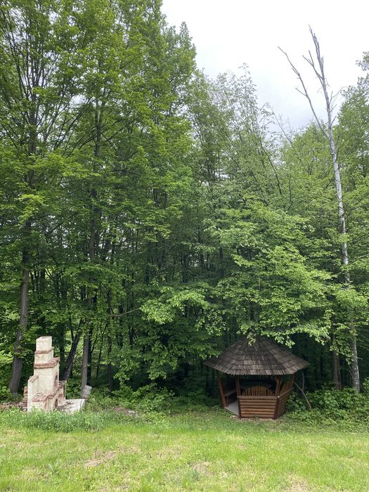 Будинок в карпатах - Bild 2