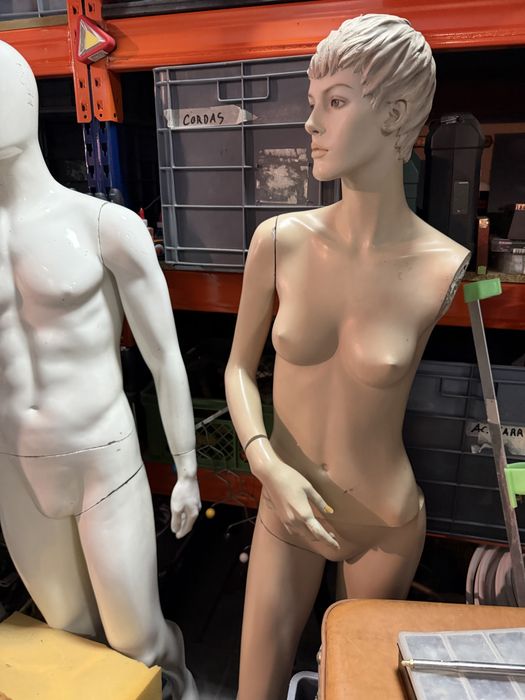 Manequins diversos para desocupar