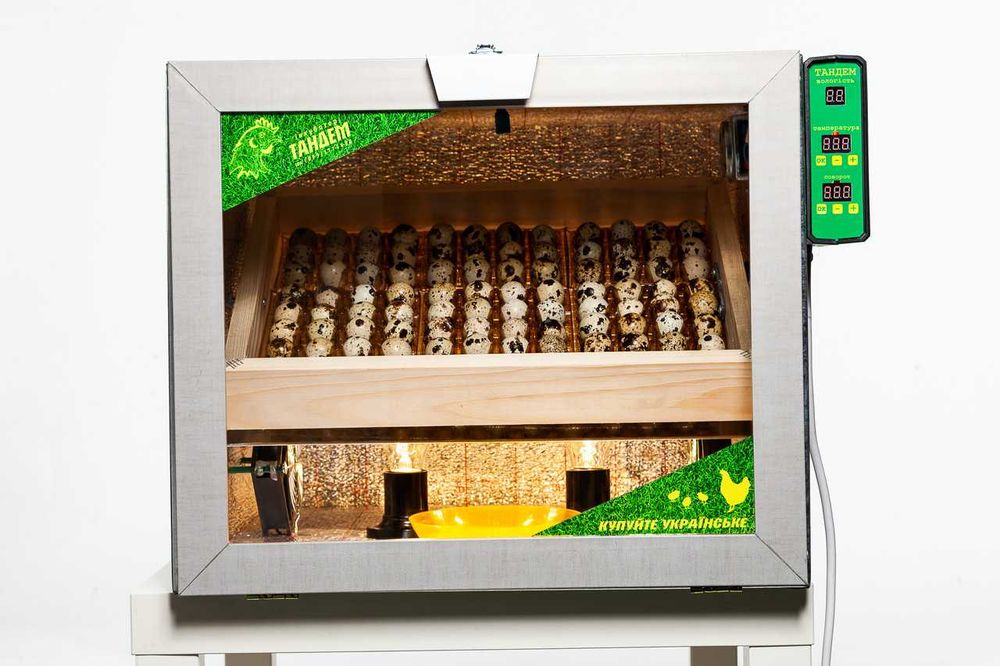 Инкубатор Тандем 60 автомат + Влажность (на 60 куриных яиц)