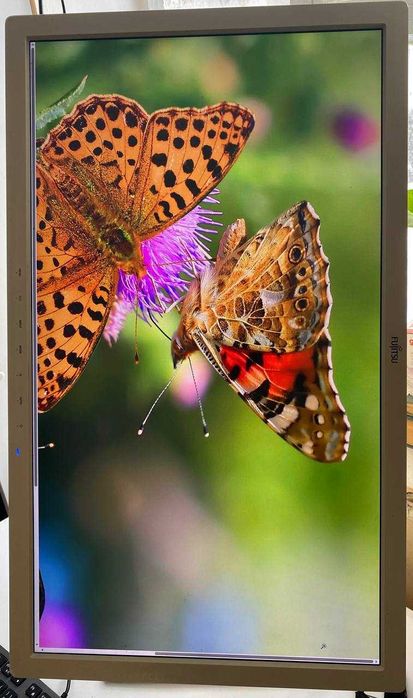 Монитор Fujitsu P27T-7