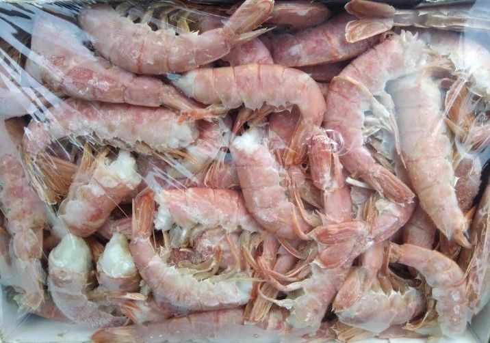 Лангустини Аргентина без головы