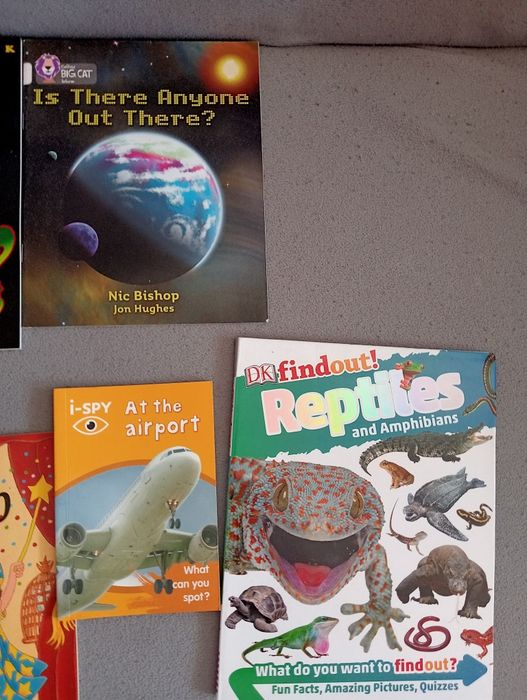 Pakiet książek dla dzieci w języku angielskim english box