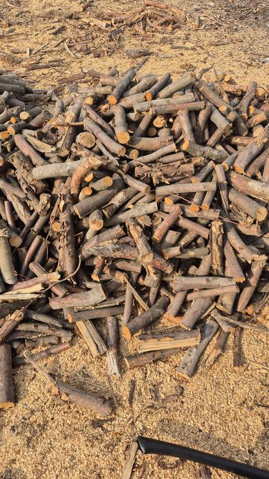 Sprzedaż Drewna opałowego.
