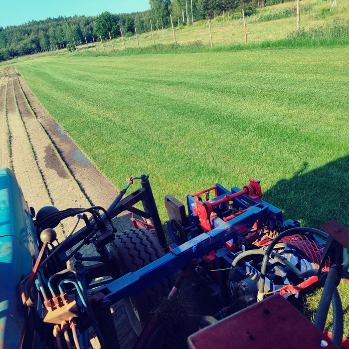 Trawa z rolki producent Rzeszow, Tarnow, Debica