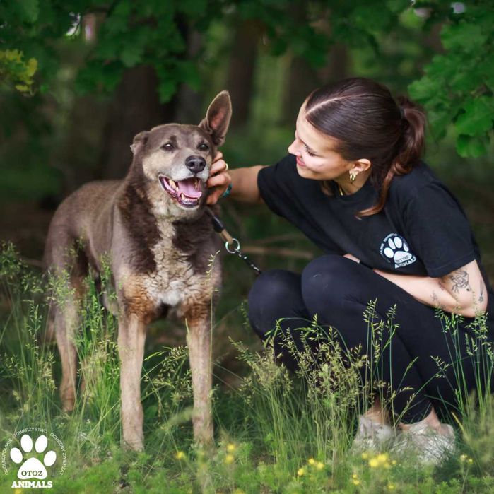 Cudowny Kumpel szuka domu!