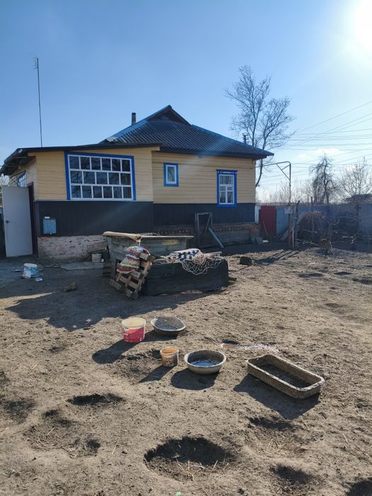 Будинок в селі Довжик