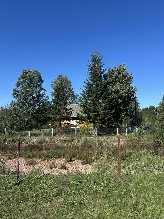 Siedlisko, działka z potencjałem + zabudowania gospodarcze – okazja!