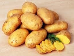 Ziemniak jadalne  gala