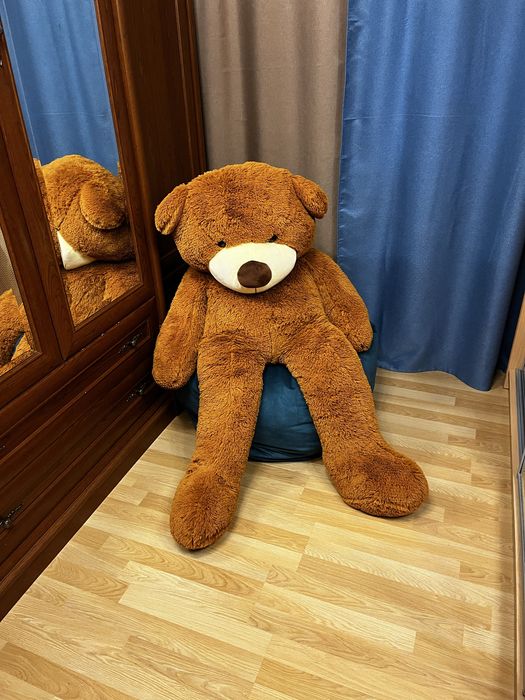 Мʼяка іграшка ведмідь