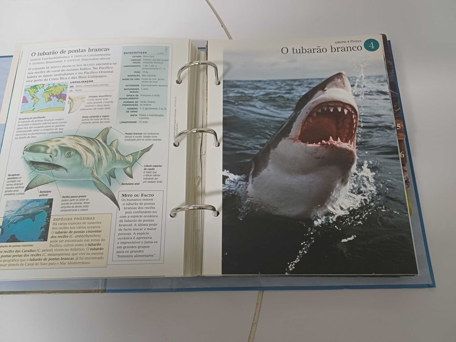 O Fascinante Mundo Animal 1 volume