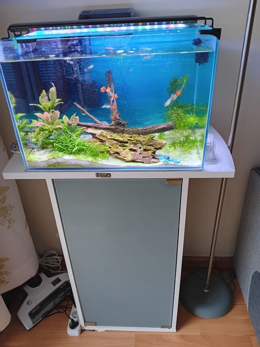 Super akwarium OPTI plus szafka  Tetra