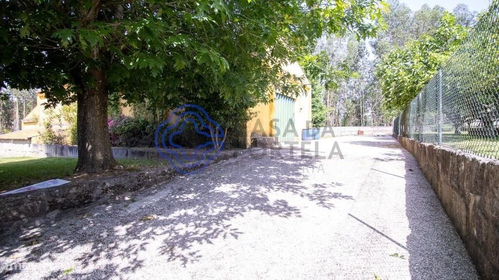 Quinta Rural com Potencial em Canedo, Santa Maria da Feira