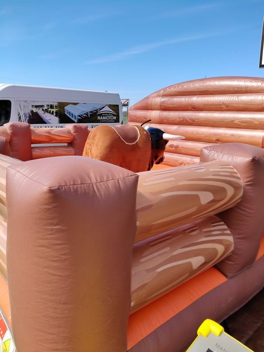 Byk RODEO Wynajem