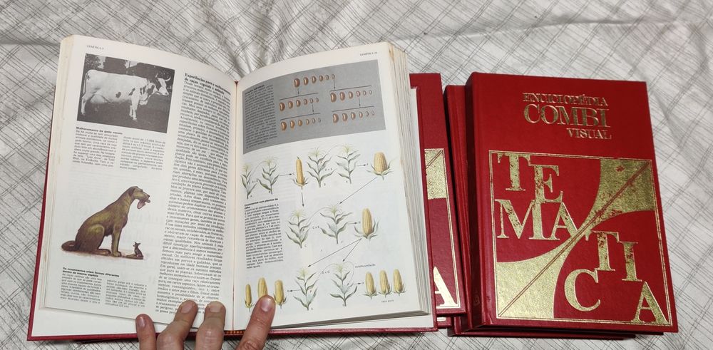 Enciclopédia COMBI visual