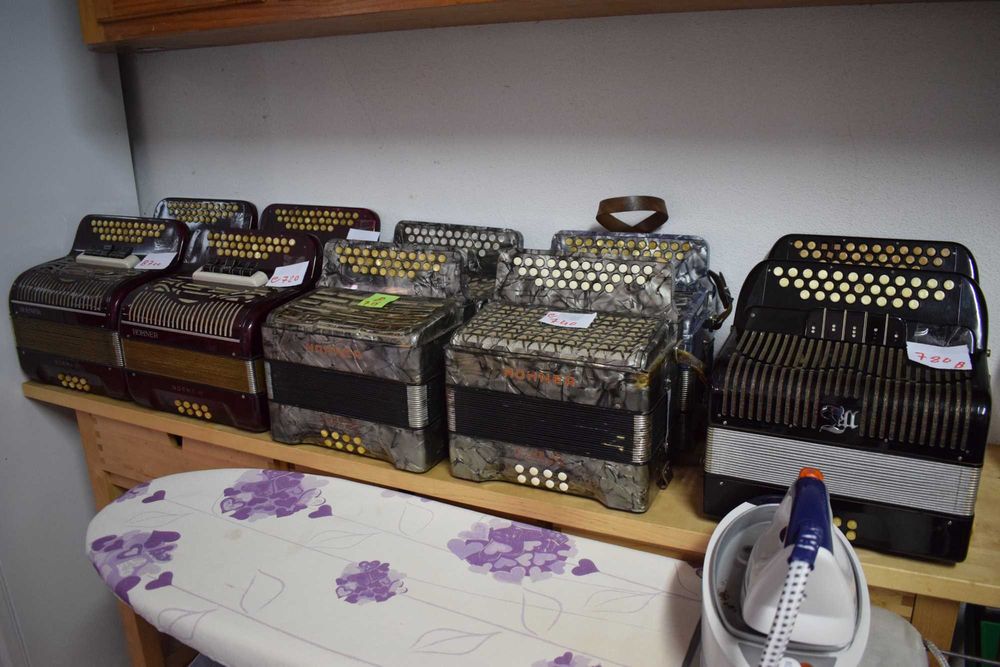 Concertinas para venda em lote de 10