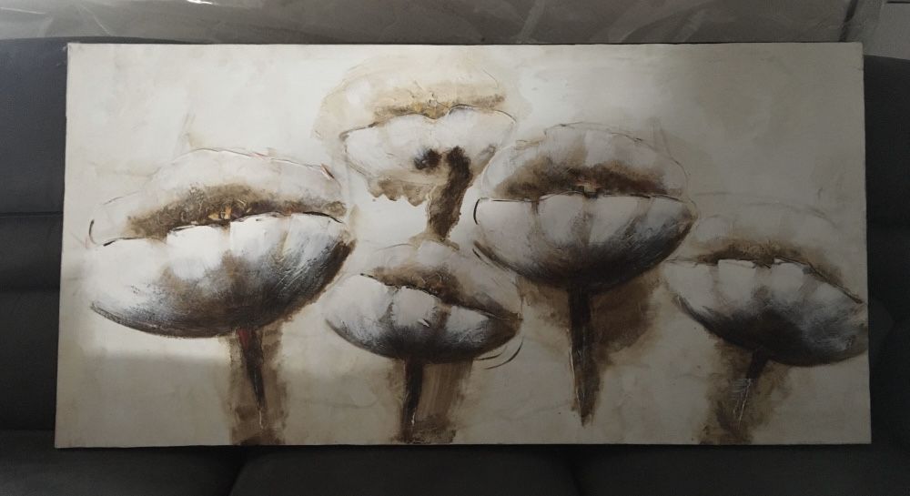 Vendo duas telas bom estado, com desenhoa diferentes