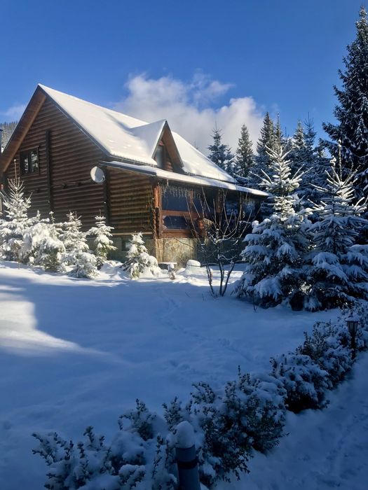 Затишний котедж для відпочинку біля самого лісу на 6+2 гостей