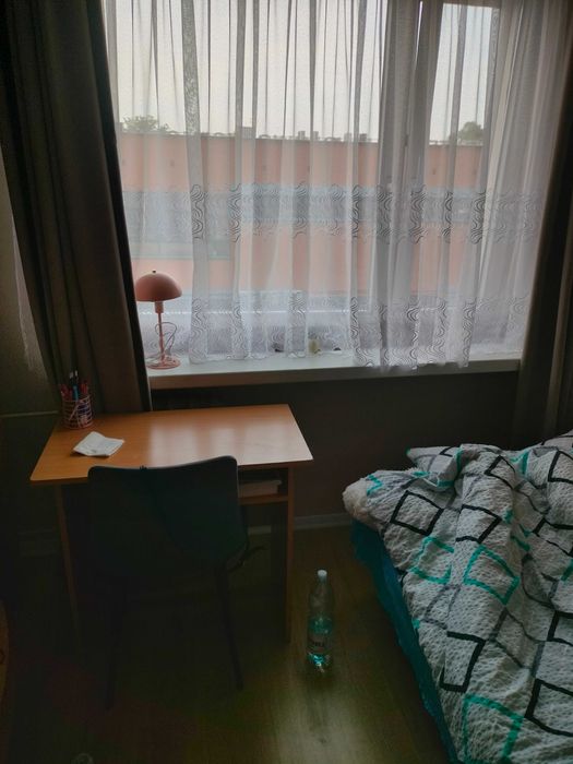 Pokój do wynajęcia