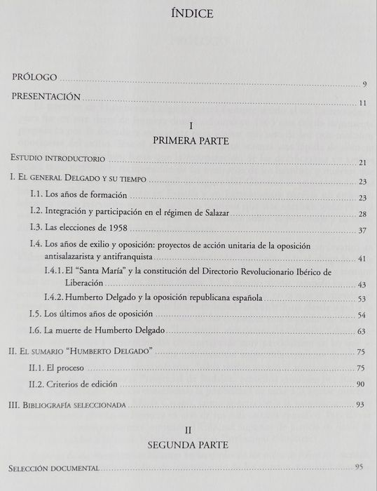 H. DELGADO - Processo Penal Español