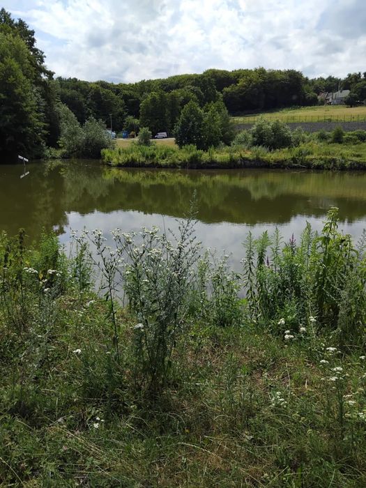 Земельна ділянка біля  лісувід Власника!!