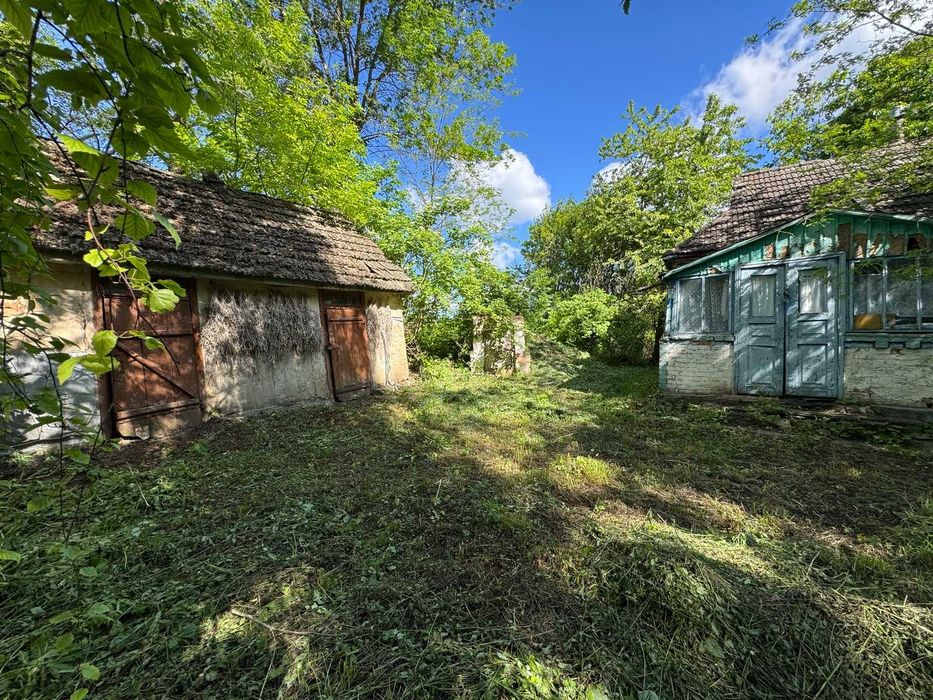 Продаж будинку з великою земельною ділянкою в с. Великі Крушлинці