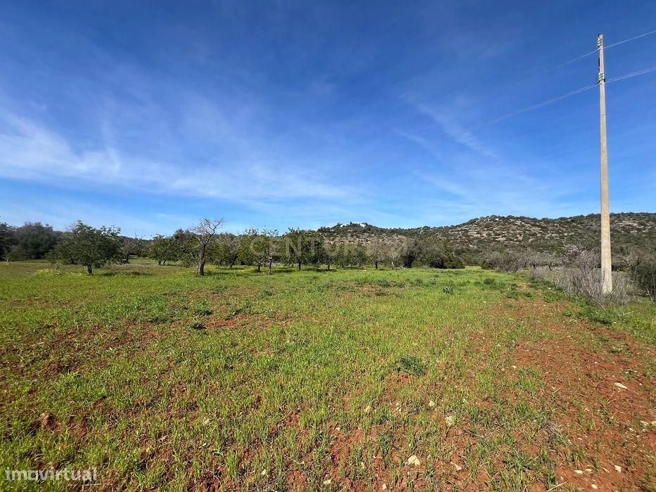 Terreno rústico com 7.360 m2, a 4 km de Paderne