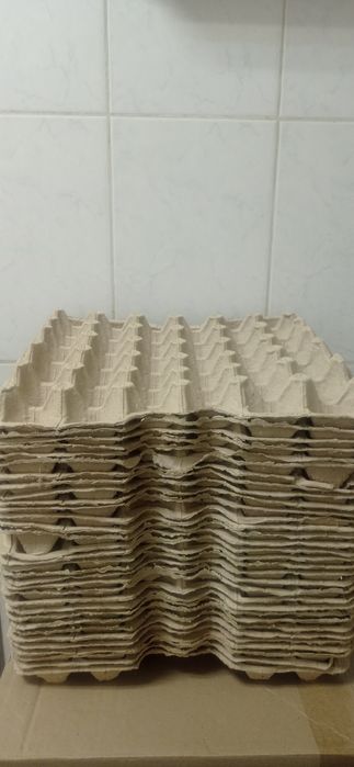 Обменяю куриные лотки