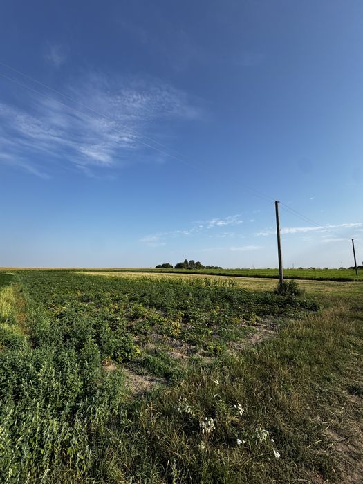 Продаж Землі - 30 сот