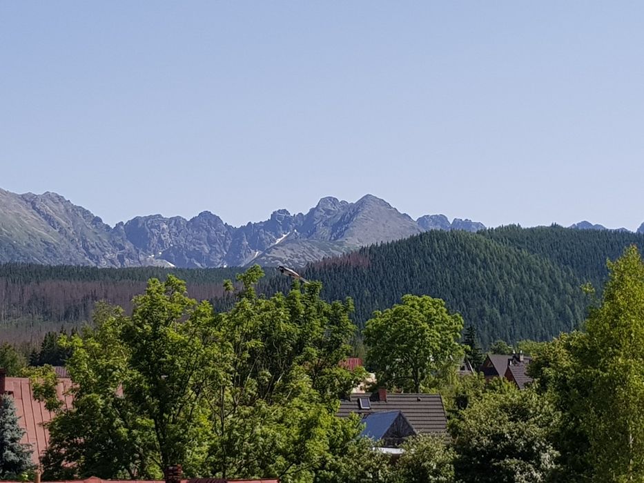 Wynajem Pokoi u Krystyny Zakopane-Cyrhla