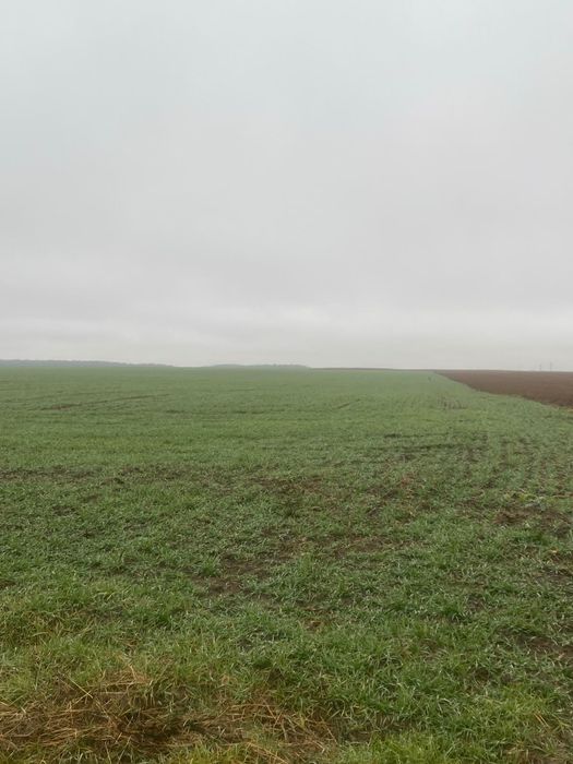 Продам пай в Колоденці 2.58 га.