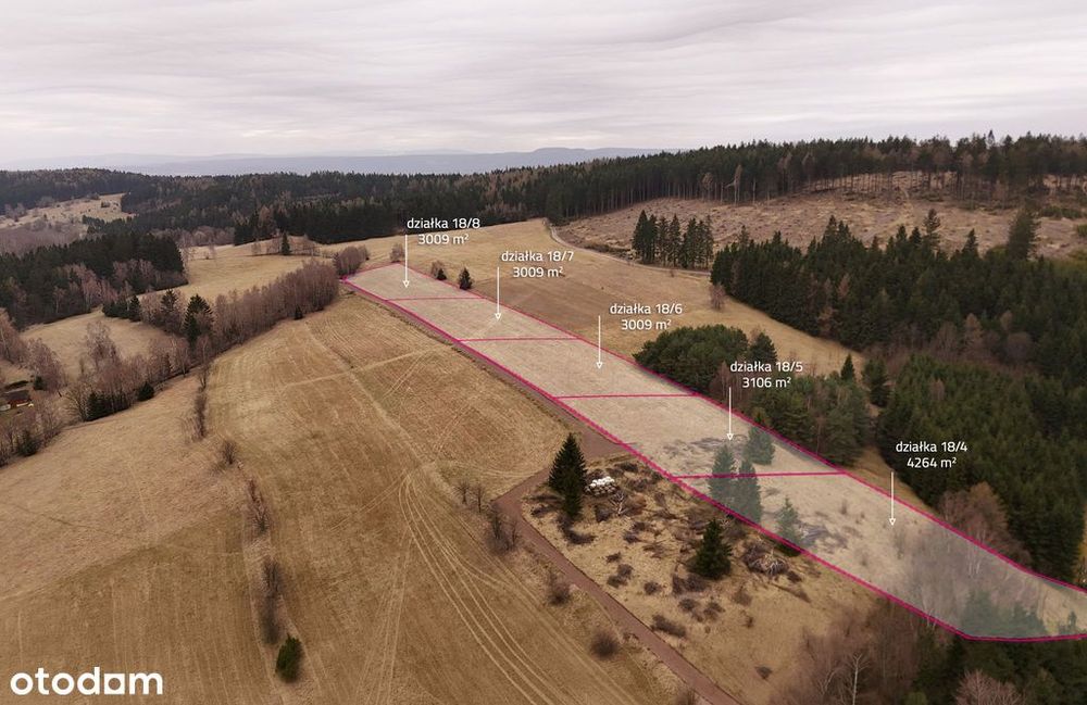 3 Działki W Bartnicy | 3009 M² Z Gotowymi Warunkami Zabudowy