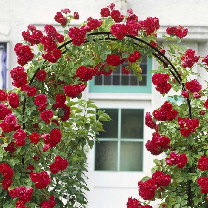 PERGOLA Ogrodowa Łuk 240cm + Kotwy