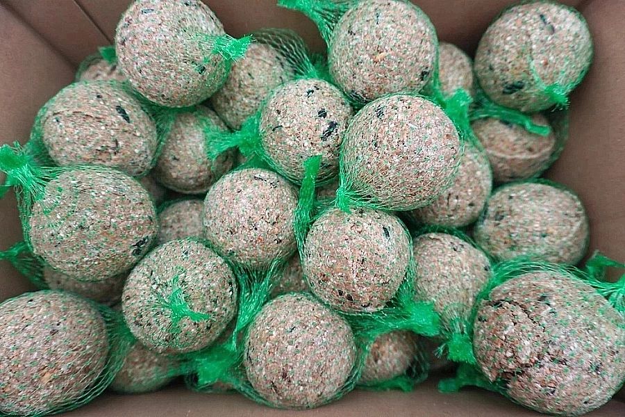 Kule zimowe tłuszczowe Karma zimowa 100 kul CHAMPI karmnik