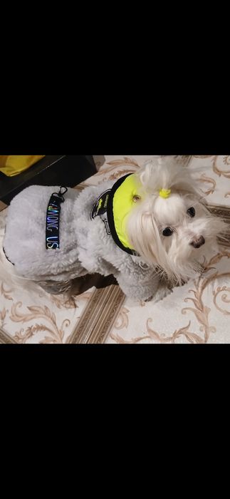 Зимние комбинизоны на собачку 2-3 -3.5кг.