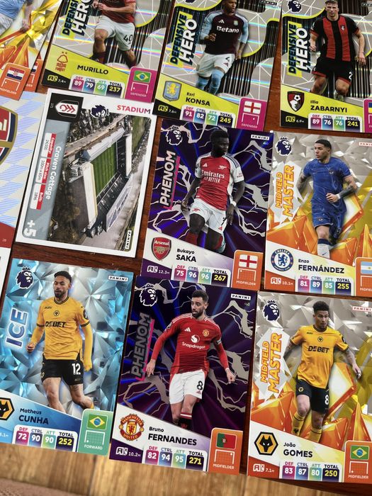 Картки паніні 24/25