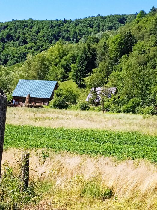 Продам земельную ділянку в Карпатах буля річки Уж.