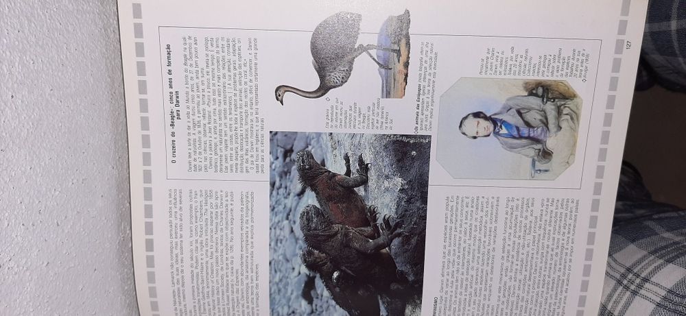 Livro AVENTURA DA VIDA 310 Paginas livro grande Entrego em Alfragide