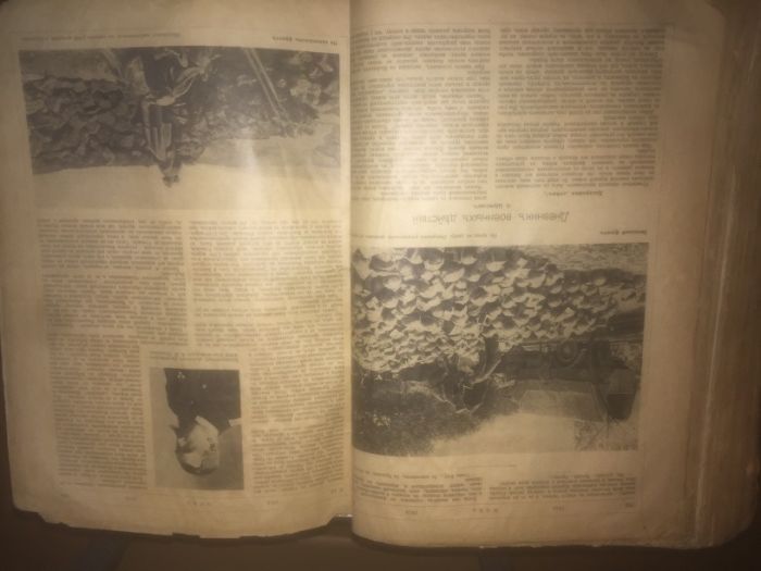 «Ни́ва» — популярный русский еженедельный журнал середины XIX — начала