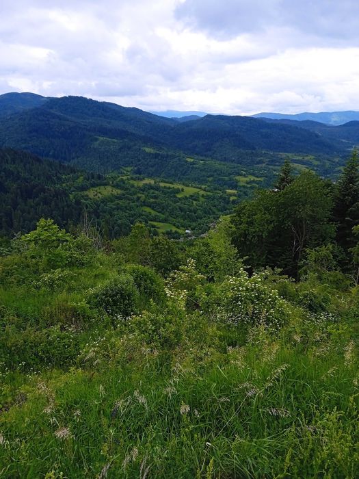 Продам земельную ділянку в Карпатах буля річки Уж.