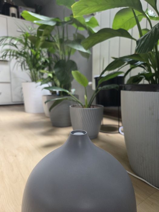 Nawilżacz powietrza