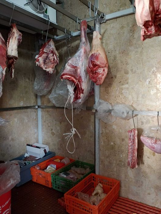 Trespasse de Talho em Pleno Funcionamento – Excelente Localização