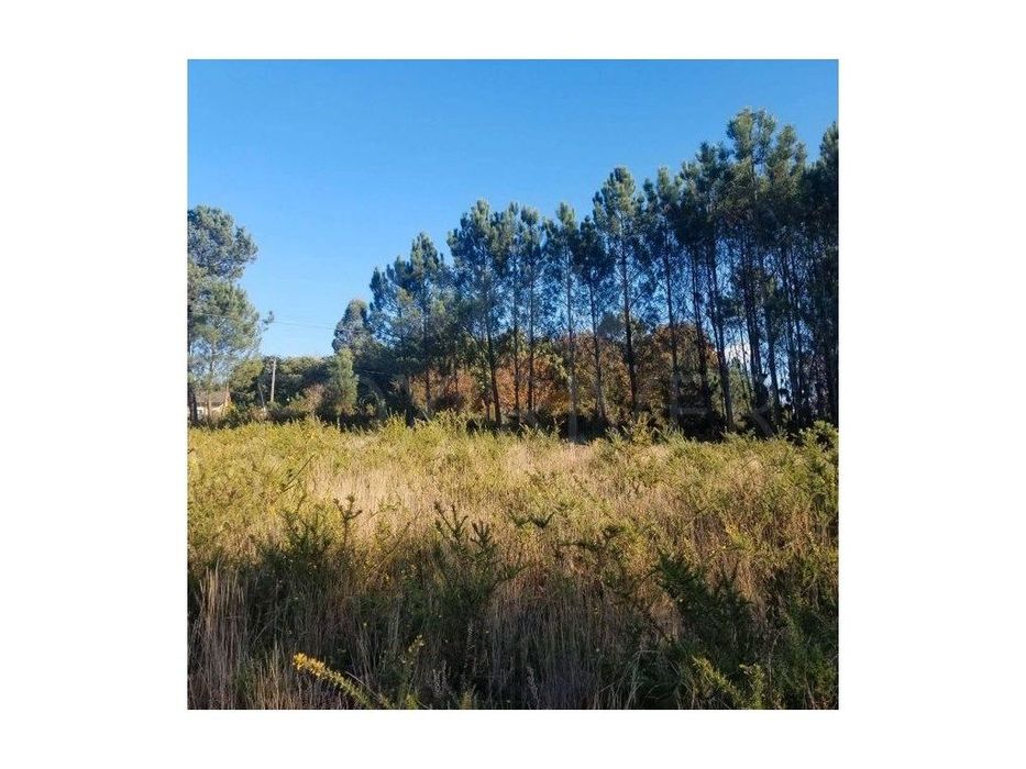Land for Construction in Cerdal, Valença