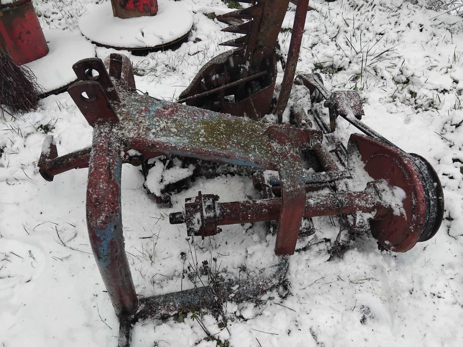 Косалка сегментна